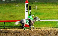Gato Paso destroyed the field in featured classic. Gato Paso destroyed the field in featured classic.
